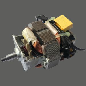 Máy nấu ăn Ac Motor