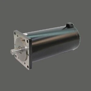 Động cơ dụng cụ chính xác