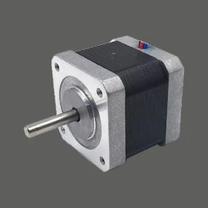 Stepper Motor phun máy