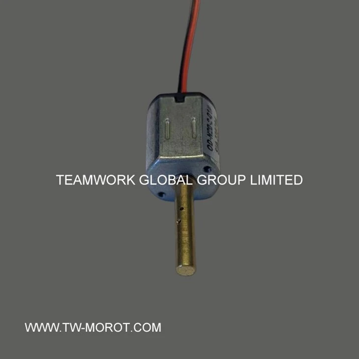 Door Lock Motor