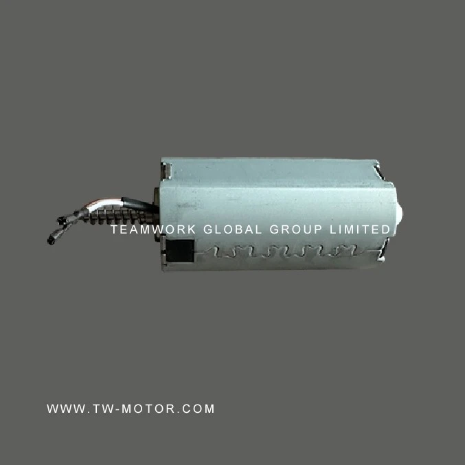 Massager Motor